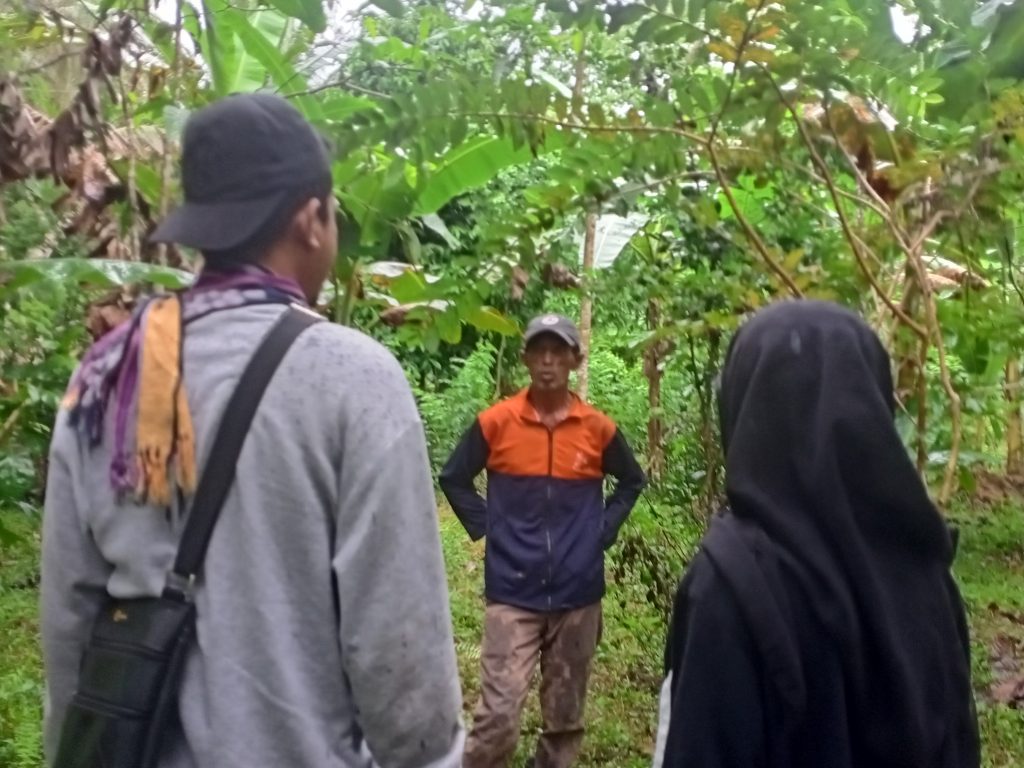 petani kopi tuni seram bagian timur