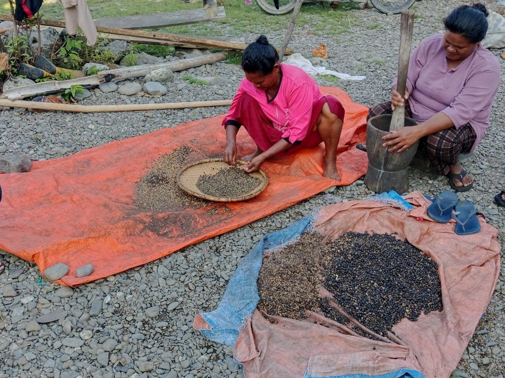 petani kopi tuni kabupaten buru