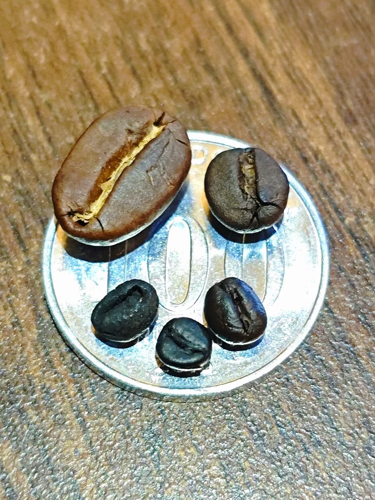 Perbandingan Biji Kopi Tuni